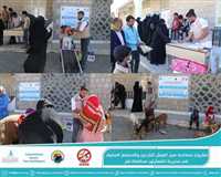 Distribution of livelihood assets for the displaced and host community in Al-Shamayatayn, Taiz.
